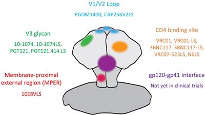 Can Broadly Neutralizing HIV-1 Antibodies Help Achieve an ART-Free Remission?